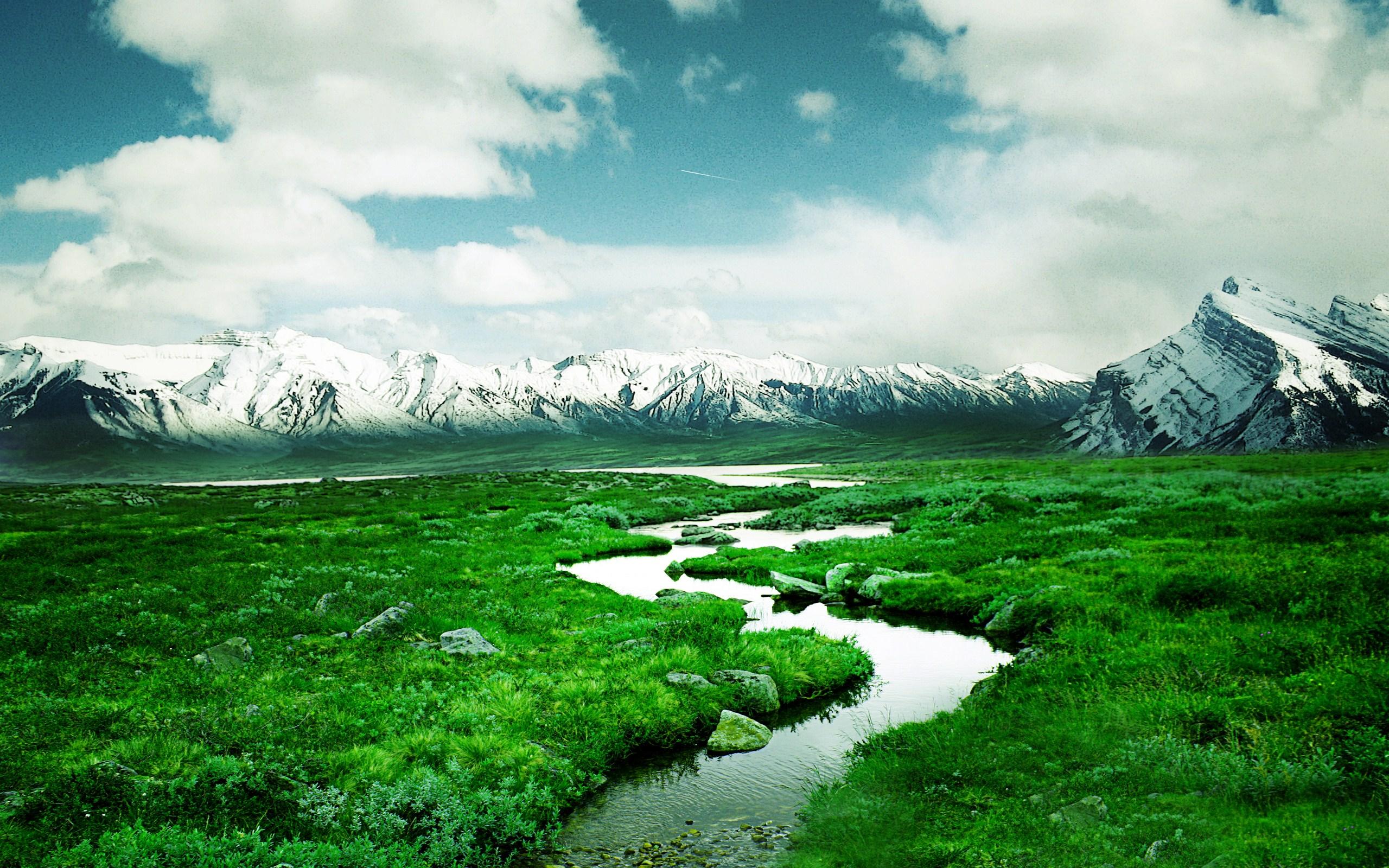 2560x1600 HD Mountain Stream Wallpaper