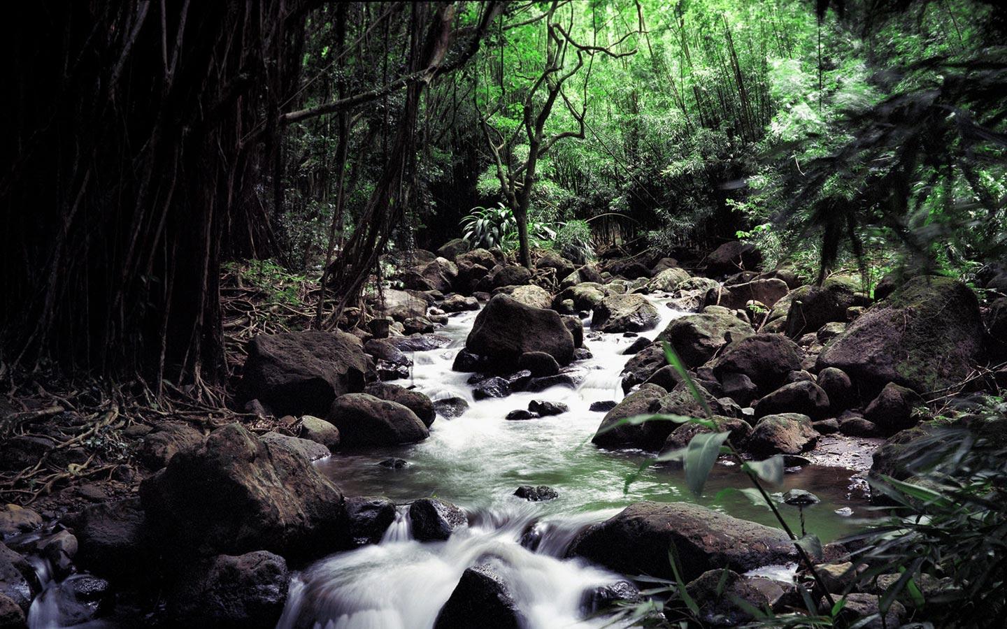 1440x900 Hawaii Stream And Streams Wallpaper