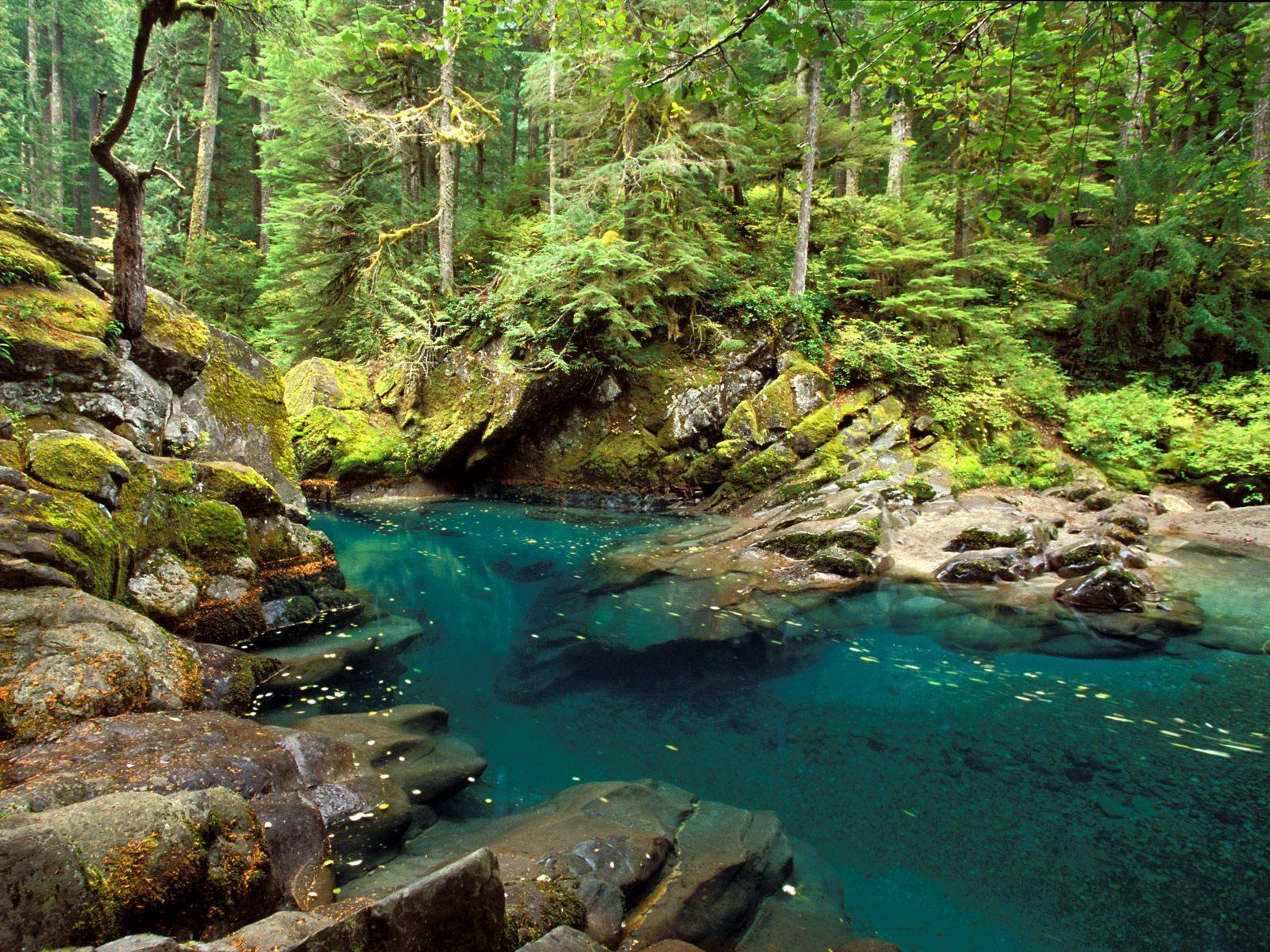 1600x1200 Free download Rivers and Creeks Wallpaper Download Ohanapecosh River Mt [1600x1200] for your Desktop, Mobile & Tablet. Explore Montana Wallpaper Free. Montana of 300 Wallpaper, Hannah Montana Wallpaper Desktop, Hannah Montana Wallpaper