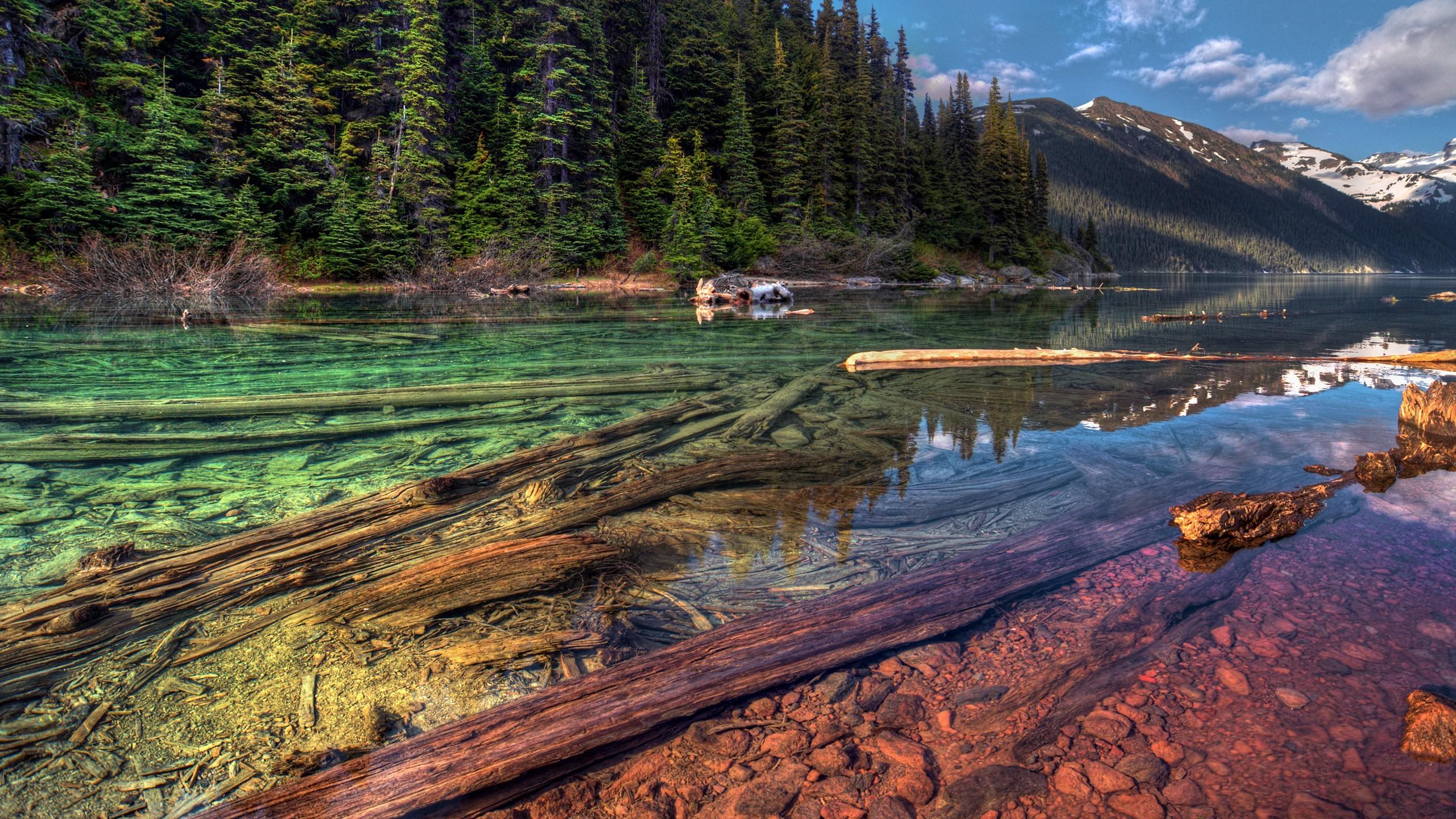 2560x1440 #nature, #landscape, #river, #forest, #trees, #HDR, wallpaper. Mocah HD Wallpaper