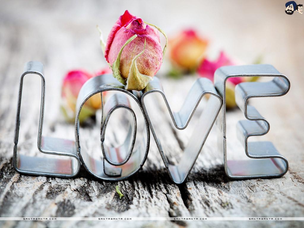 1024x768 Rose is the symbol of eternal love