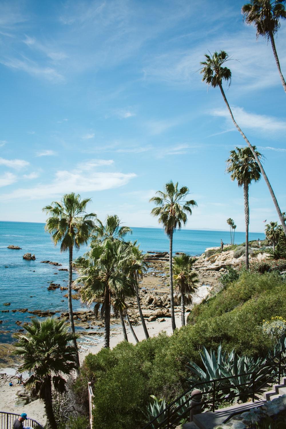 1000x1500 Laguna Beach Picture. Download Free Image