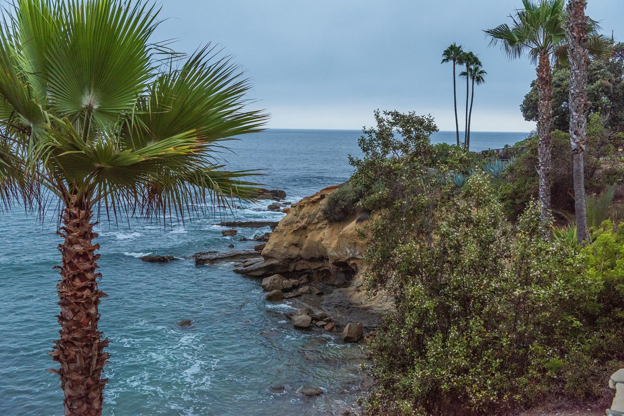 2560x1708 Laguna Beach, USA, Coast, Stones, California, Crag, Palms. Mocah HD Wallpaper