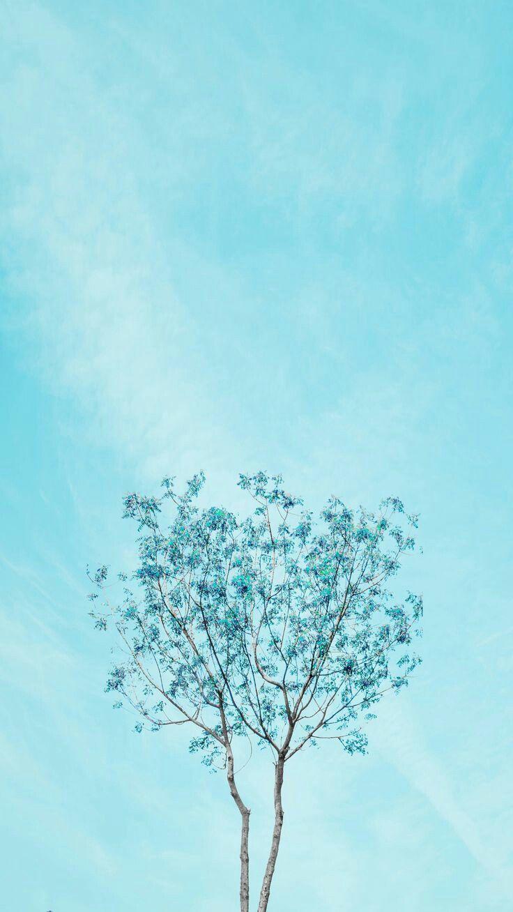 Blue Aesthetic Iphone Wallpaper  : Find The Best Aesthetic Wallpapers On Wallpapertag.