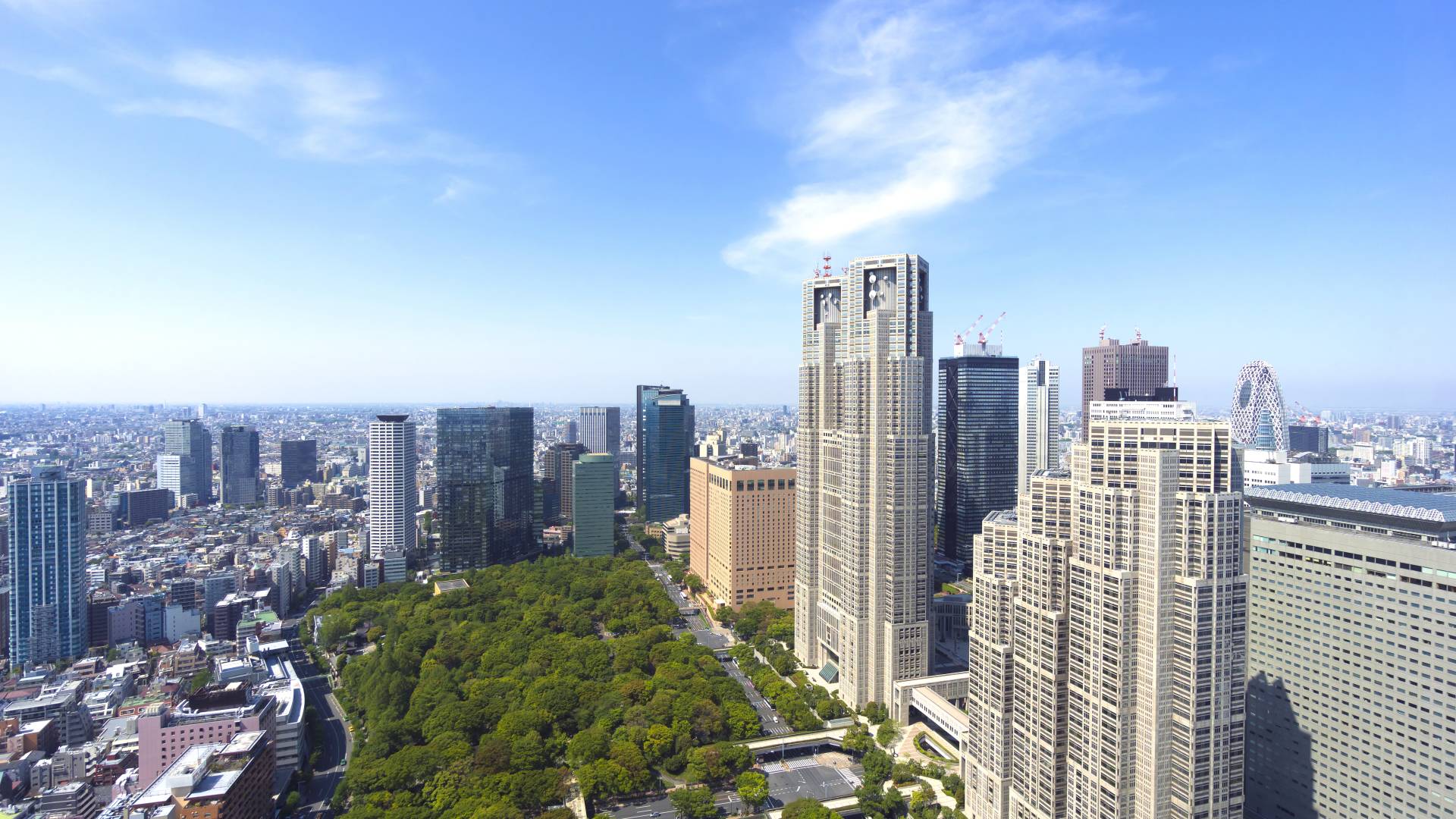 1920x1080 Shinjuku. The Official Tokyo Travel Guide, GO TOKYO