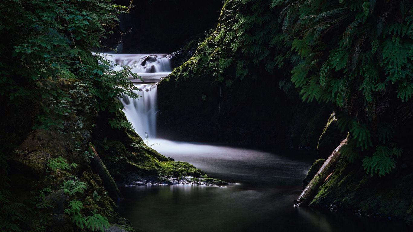 1366x768 Download wallpaper 1366x768 waterfall, grass, dark, nature tablet, laptop HD background
