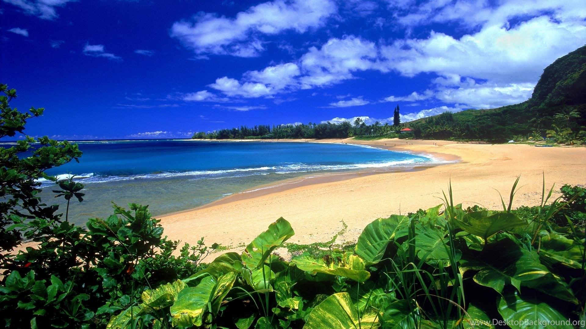 1920x1080 Hawaii Beach Image HD Wallpaper Desktop Background