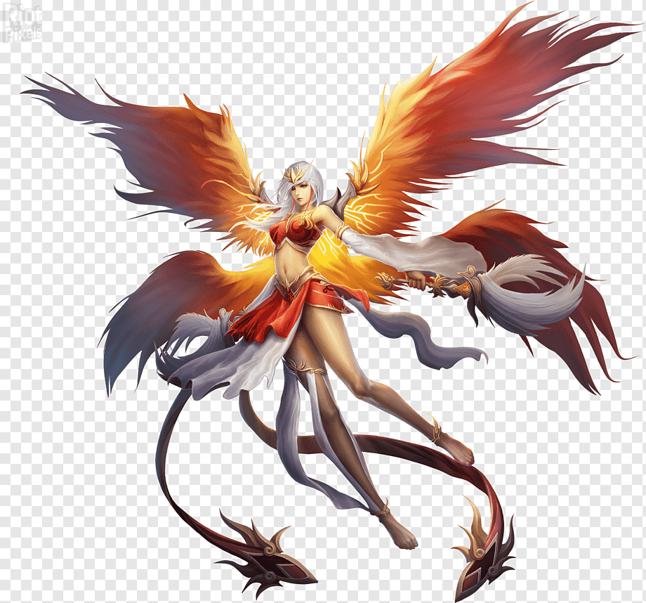 920x858 Anime Phoenix Desktop, Phoenix, Legendary Creature, Family Catholic Church HD Wallpaper