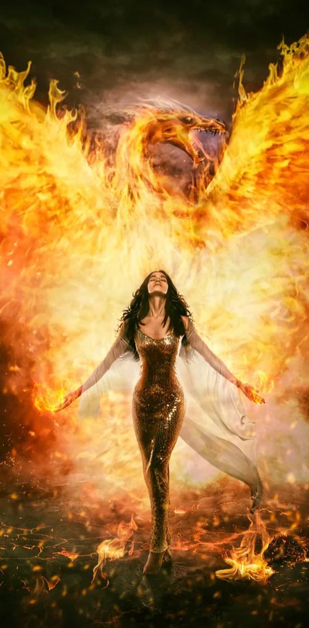 630x1280 Phoenix wallpaper