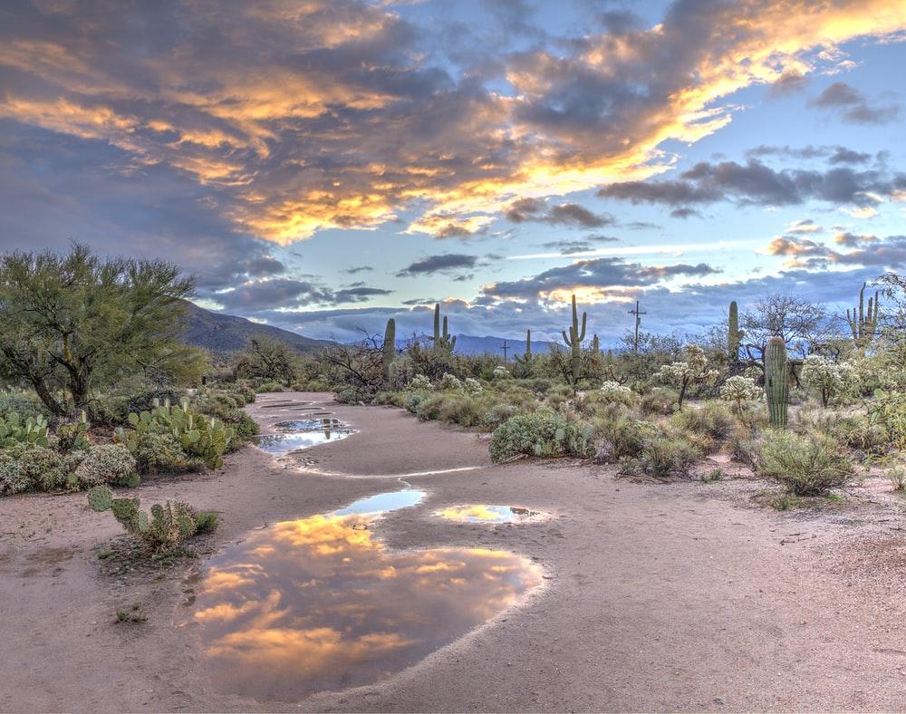 1000x788 Tucson Arizona Picture. Download Free Image