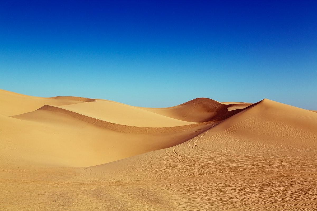 1200x800 Sonoran Desert Image Wallpaper
