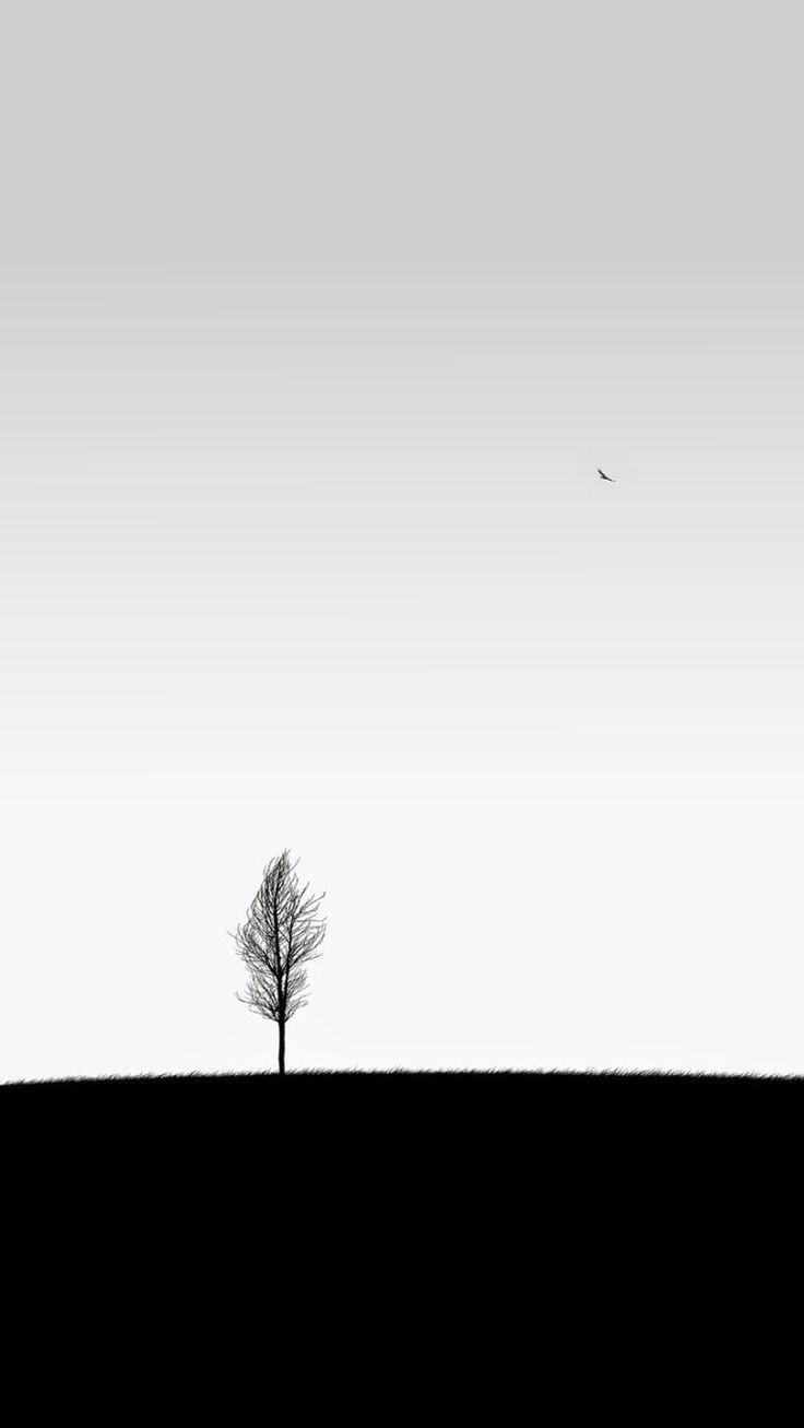 Black and White Tree iPhone Wallpapers Top Free Black and White Tree