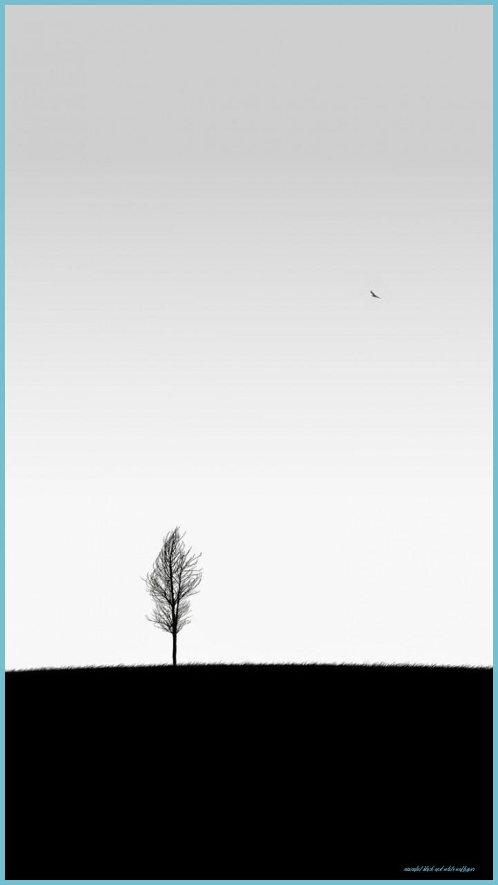 721x1282 IPhone Tree Art Simple Minimalistic Wallpaper White Black And White Wallpaper