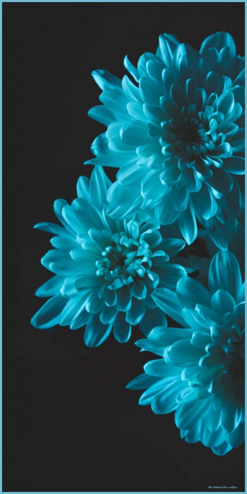 838x1676 Black Background Wallpaper Flower iPhone Wallpaper, Flower Phone Background Flower Wallpaper