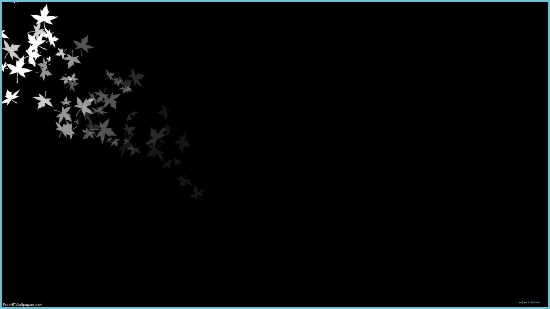 1862x1047 Black White Flowers Picture Wallpaper