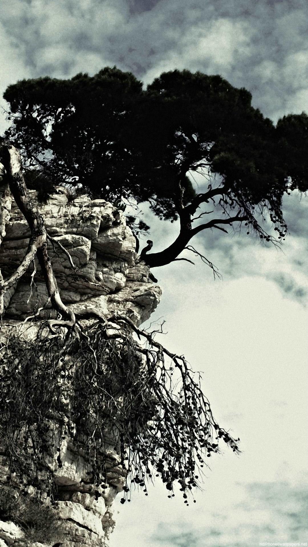 1080x1920 Rock Tree Clouds Sky Black White iPhone 6 Wallpaper HD And 1080P. Desktop Background