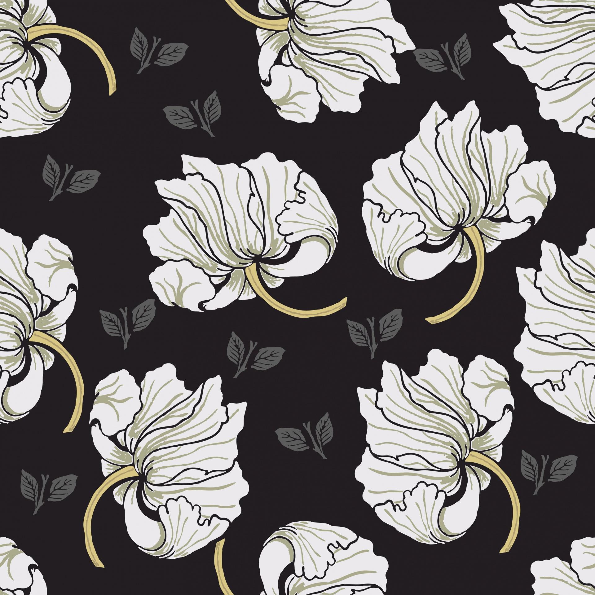 1920x1920 Flowers Floral Wallpaper Free Photo And White Floral Desktop Background HD Wallpaper