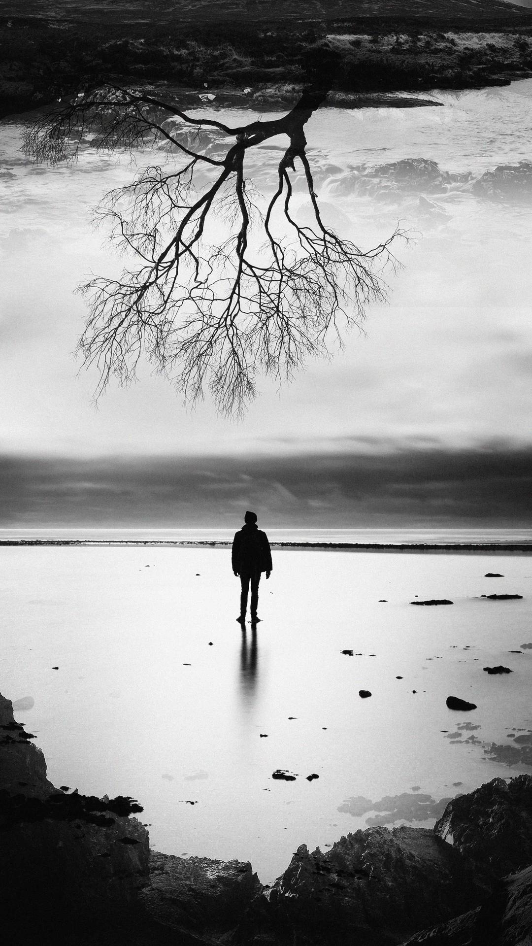 1080x1920 1080x1920 photography, tree, person, hd, monochrome, black and white for iPhone 8 wallpaper