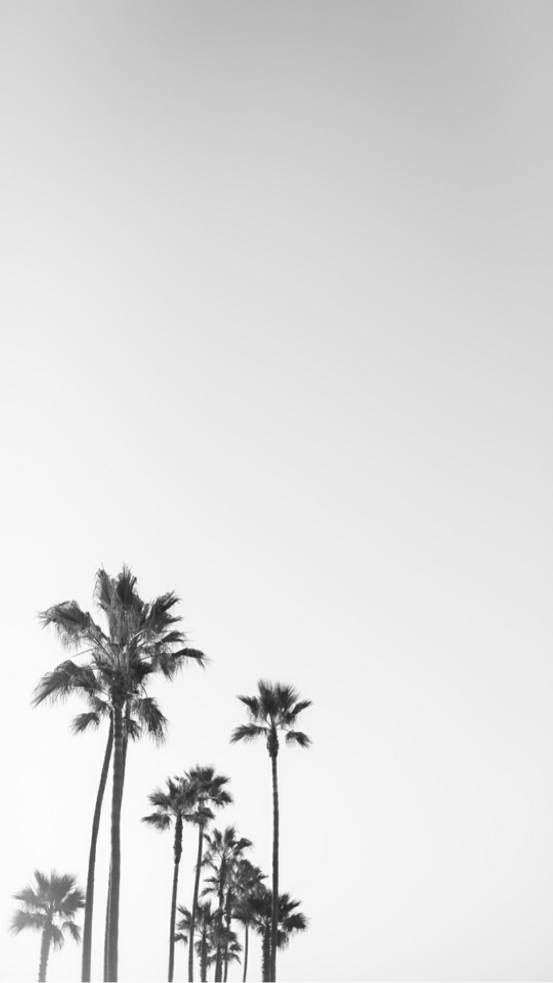1080x1920 Pin By Kate Chew On B & W Photography Art. Palm Trees Wallpaper, Tree Wallpaper Iphone, Tree Wallpaper