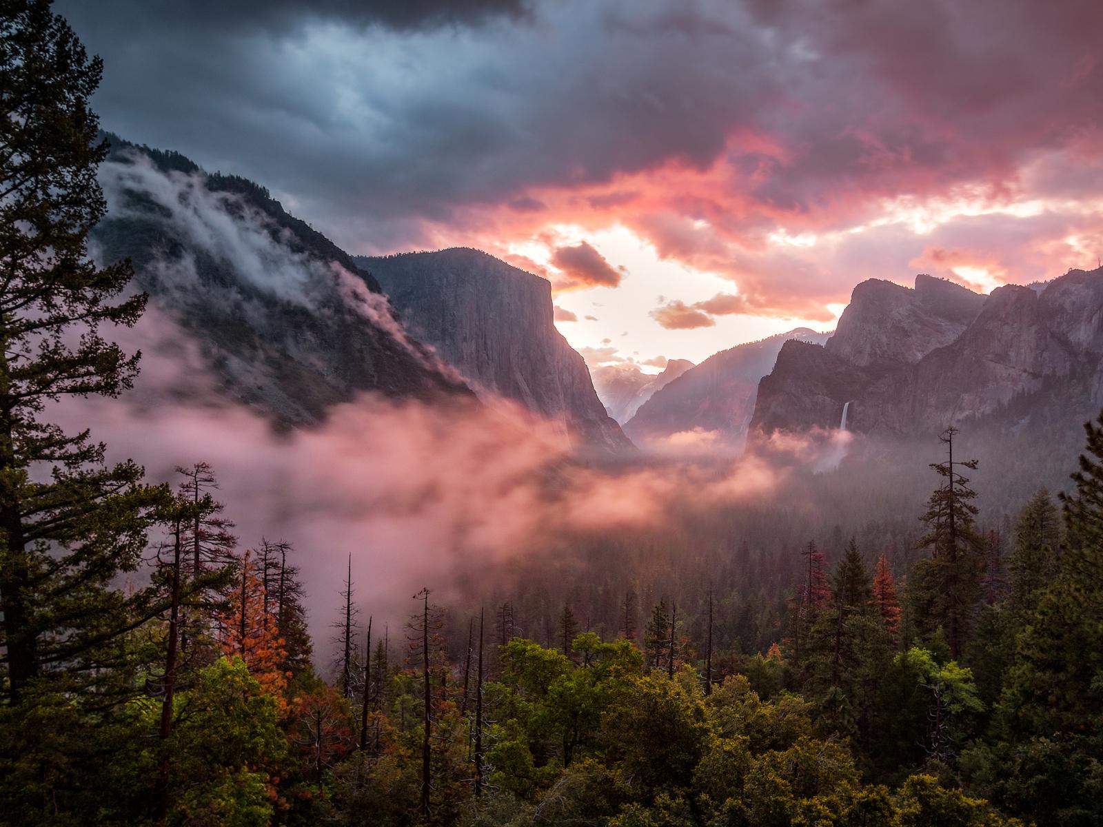 1600x1200 Download 1600x1200 wallpaper misty yosemite valley, national park, fog, mountains, standard 4: fullscreen, 1600x1200 HD image, background, 200