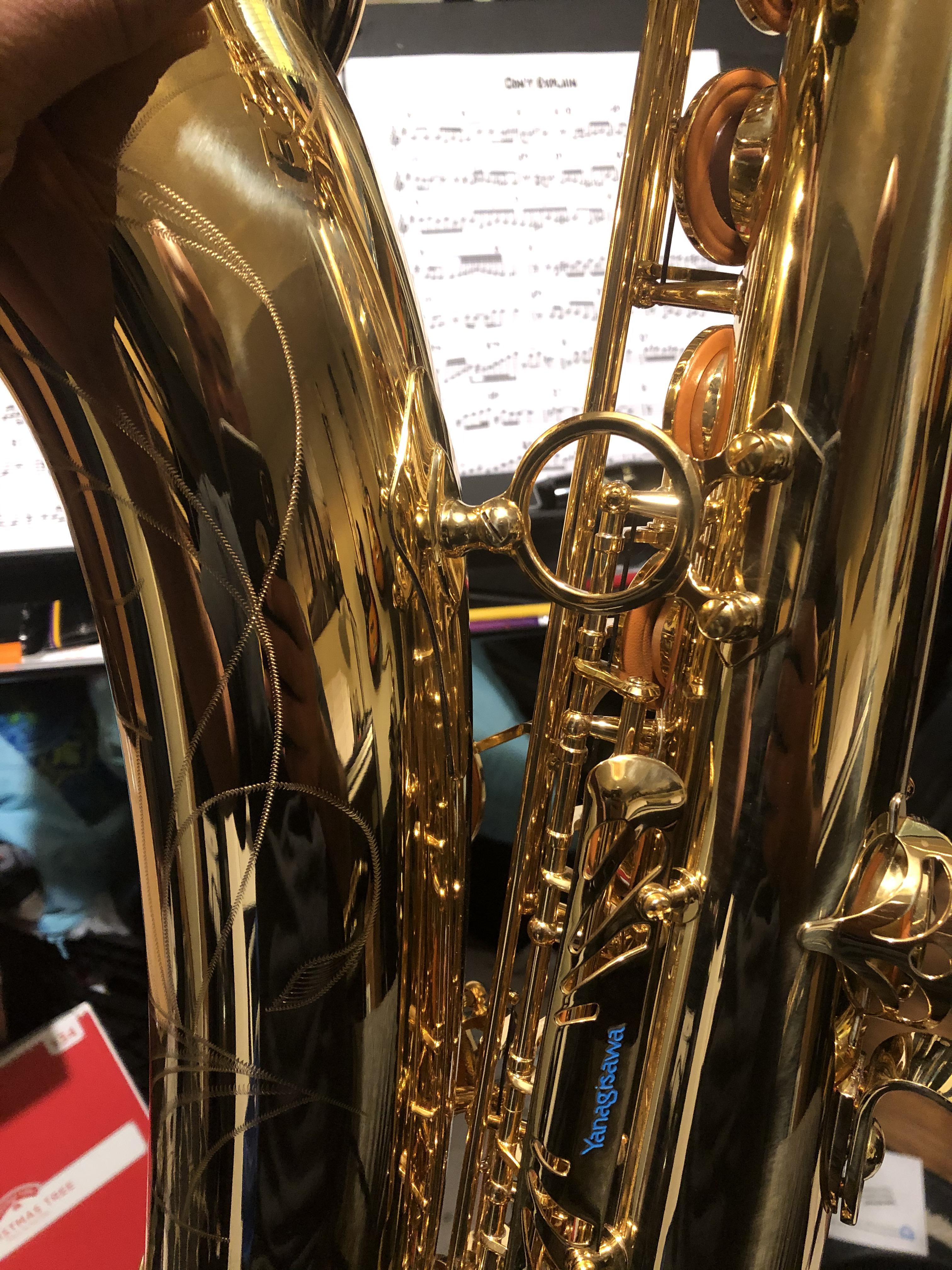 3024x4032 Stay home play sax!: saxophone