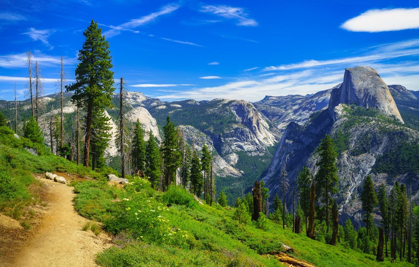 1332x850 Wallpaper trees, mountains, CA, path, California, Yosemite Valley, Yosemite National Park, Sierra Nevada, Yosemite Valley, Sierra Nevada, Yosemite national Park image for desktop, section пейзажи