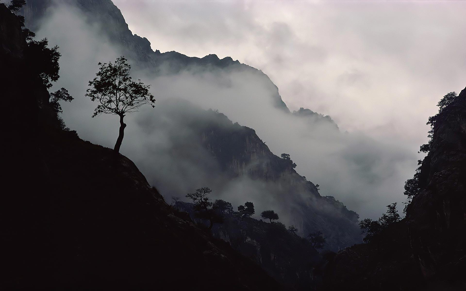 1920x1200 Misty Wallpaper