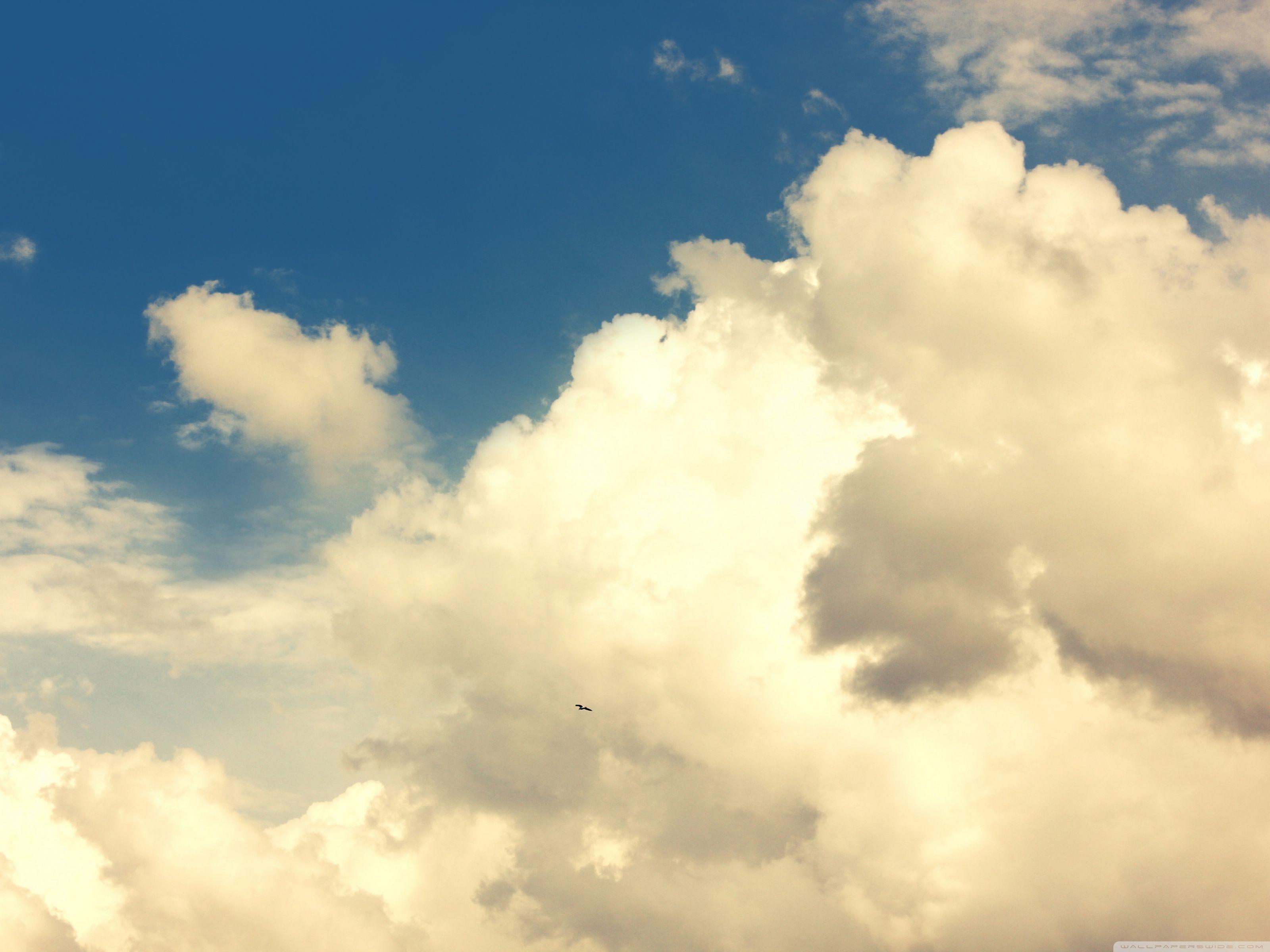 3200x2400 Sky and Bird ❤ 4K HD Desktop Wallpaper for • Dual Monitor Desktops