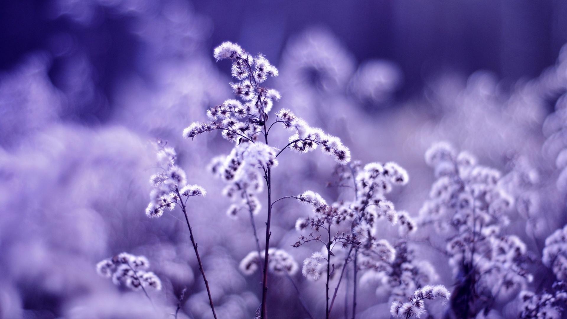 1920x1080 Most Attractive Places