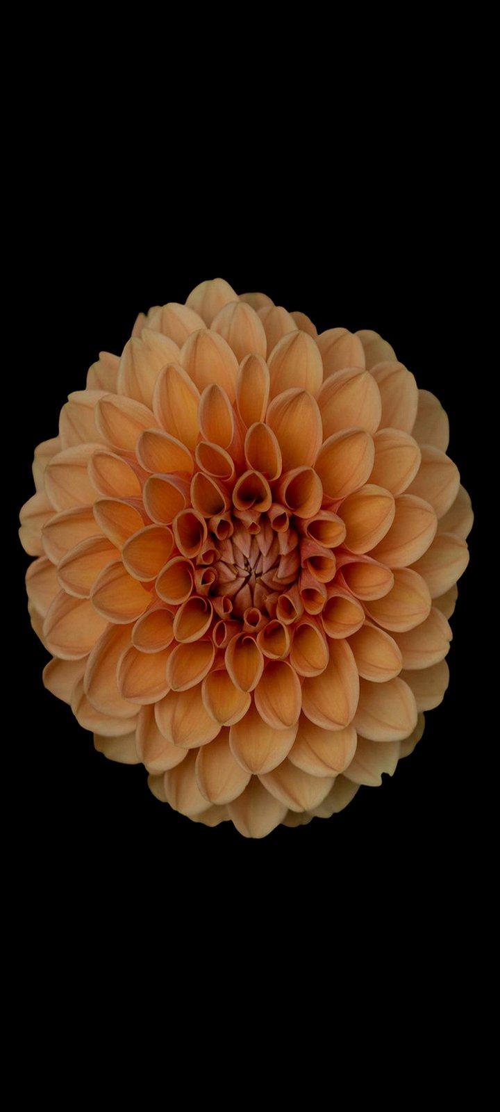 720x1600 Wallpaper HD for Phone