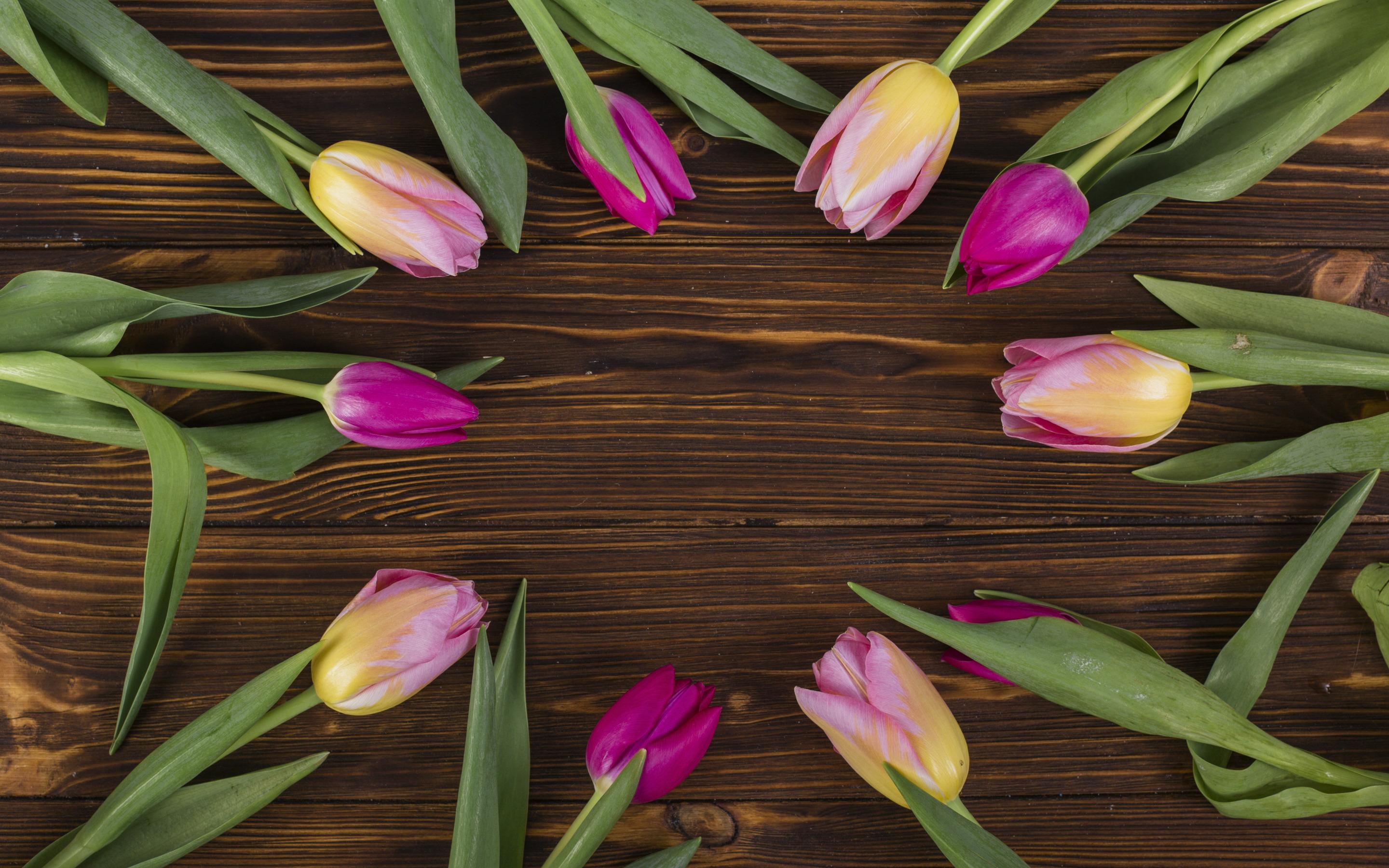 2880x1800 Download wallpaper frame with tulips, wooden brown background, spring flowers, tulips on wooden background, frame of flowers for desktop with resolution 2880x1800. High Quality HD picture wallpaper