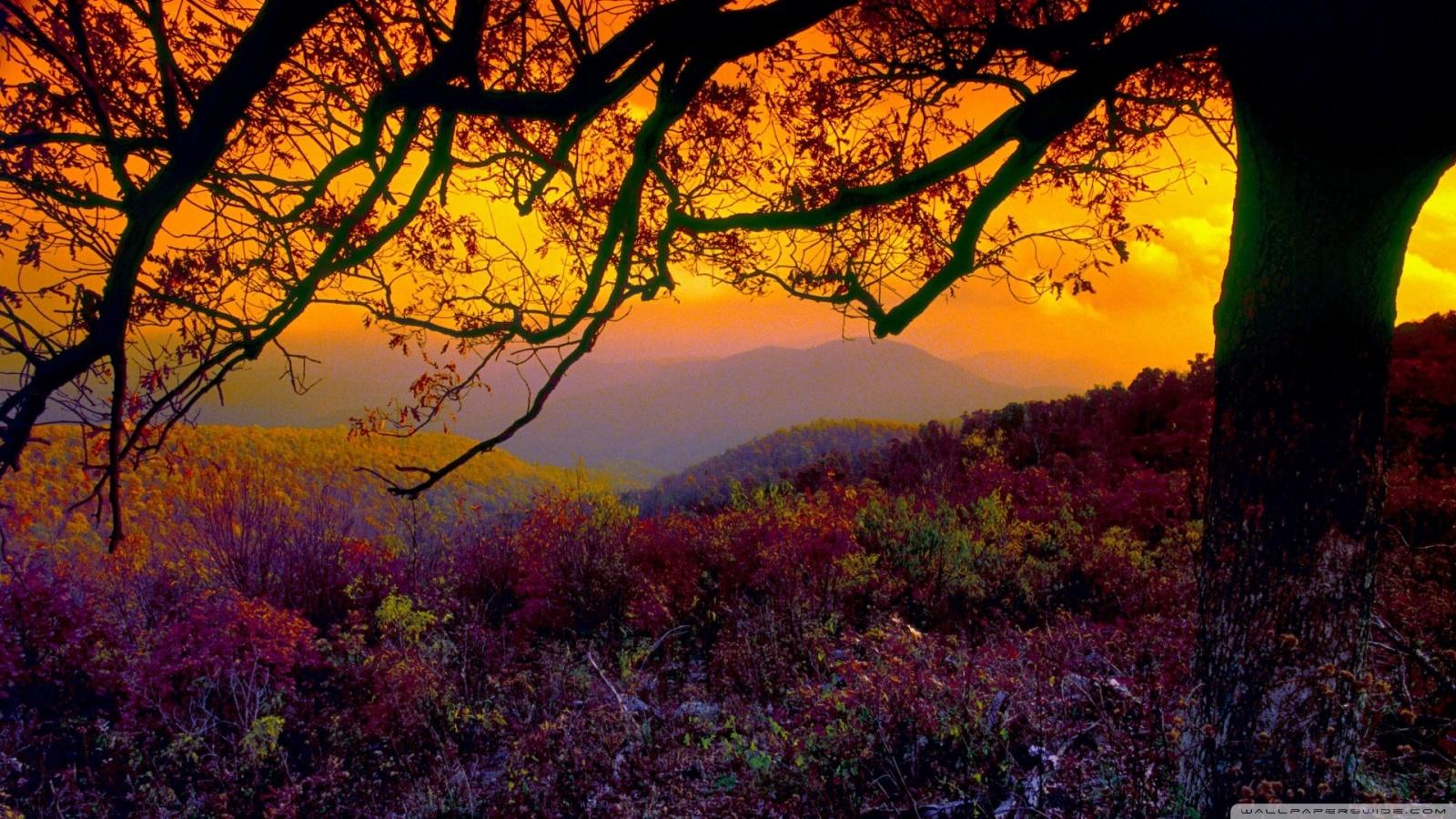 1600x900 Autumn Dusk Ultra HD Desktop Background Wallpaper for 4K UHD TV : Tablet