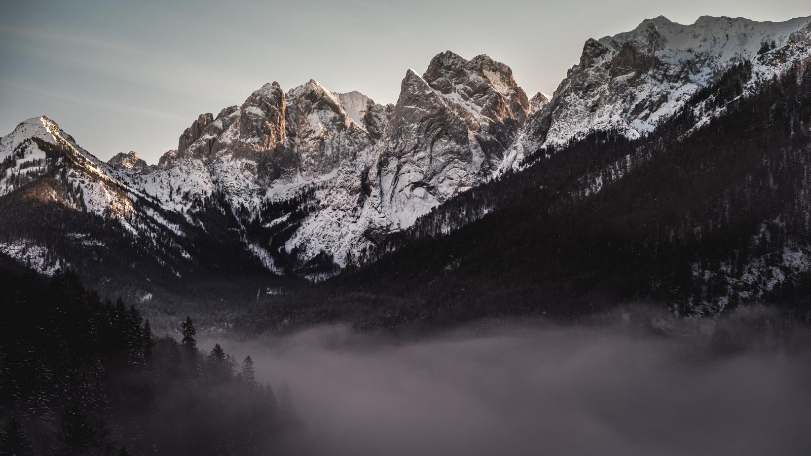 1600x900 Download 1600x900 wallpaper forest, valley, fog, mountains, widescreen 16: widescreen, 1600x900 HD image, background, 23841