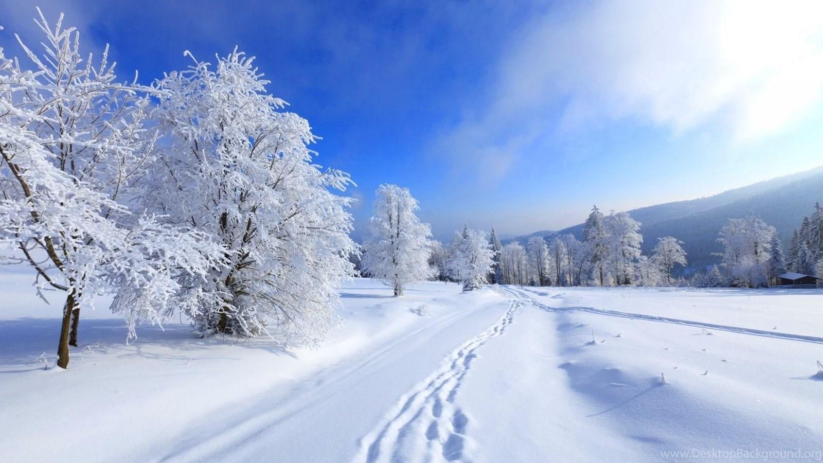 1600x900 Hd Winter Wallpaper Download Desktop Background
