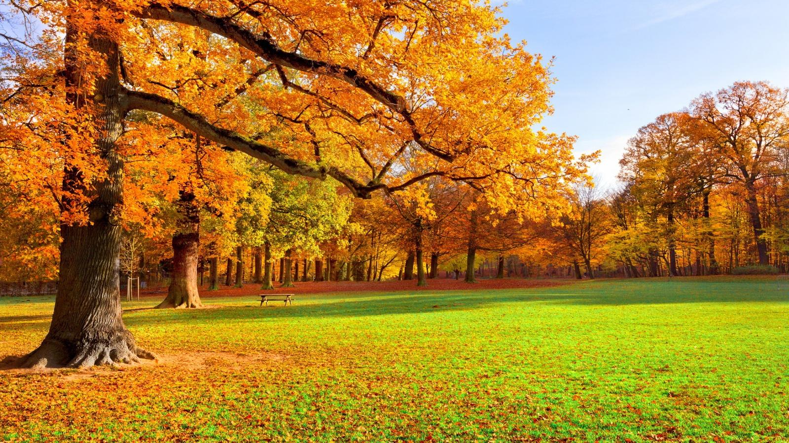 1600x900 Fall Scenery HD Wallpaper