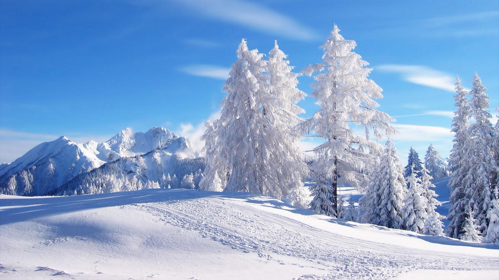 1600x900 Winter Scenery wallpaperx900