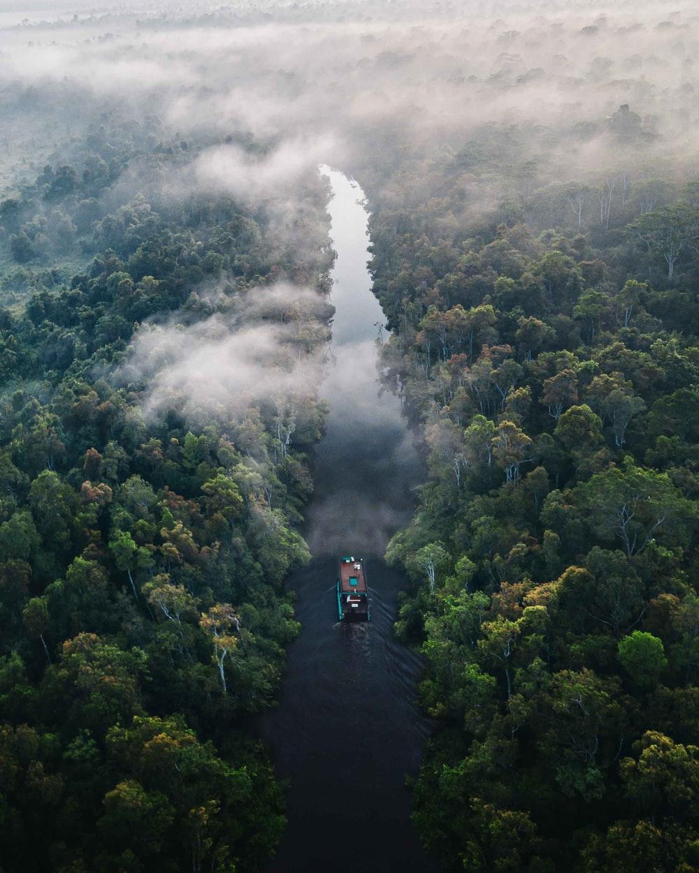 1000x1250 Amazon Photo. Download Free Image