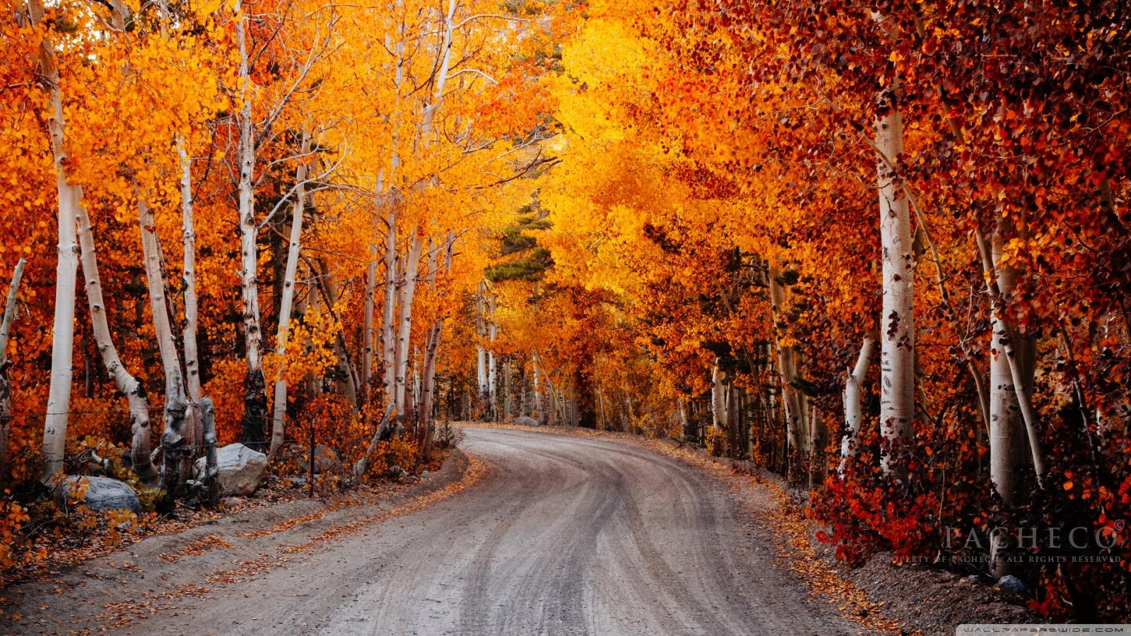 1600x900 Autumn, California Ultra HD Desktop Background Wallpaper for 4K UHD TV : Widescreen & UltraWide Desktop & Laptop : Tablet