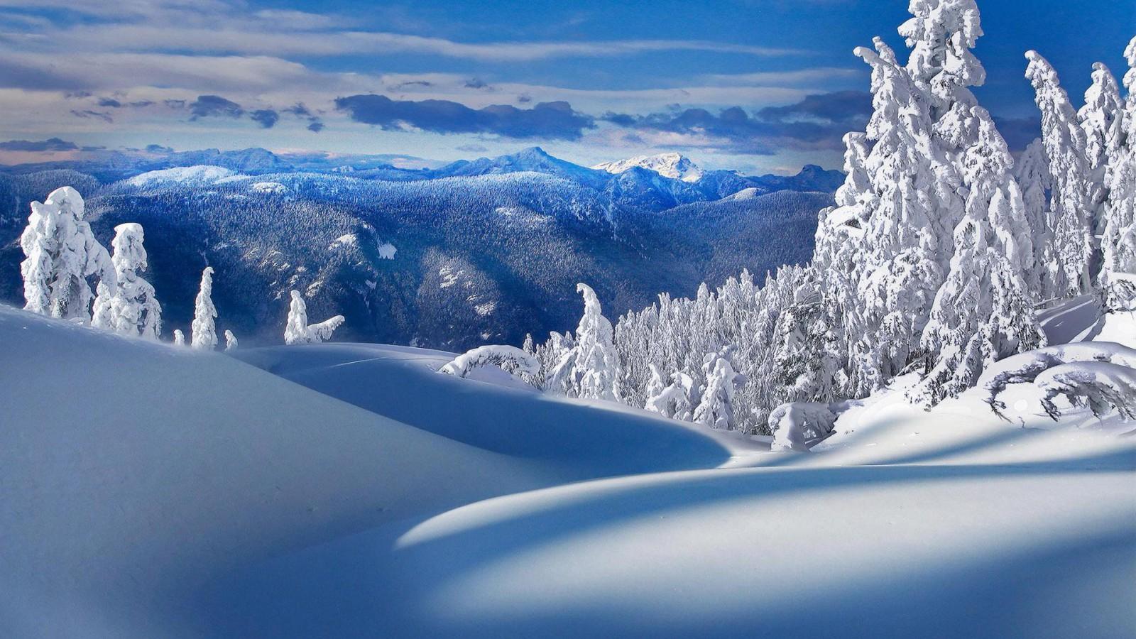 1600x900 Winterscape Wallpaper