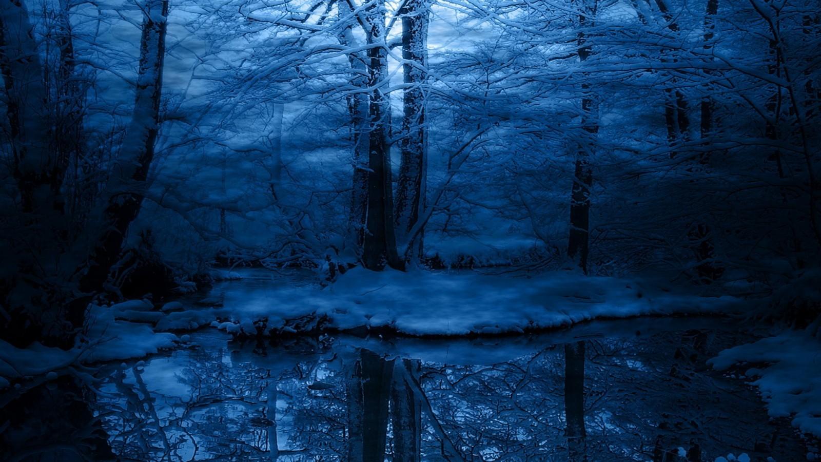 1600x900 Snowy Forest Winter Wallpaper 353 1600x900
