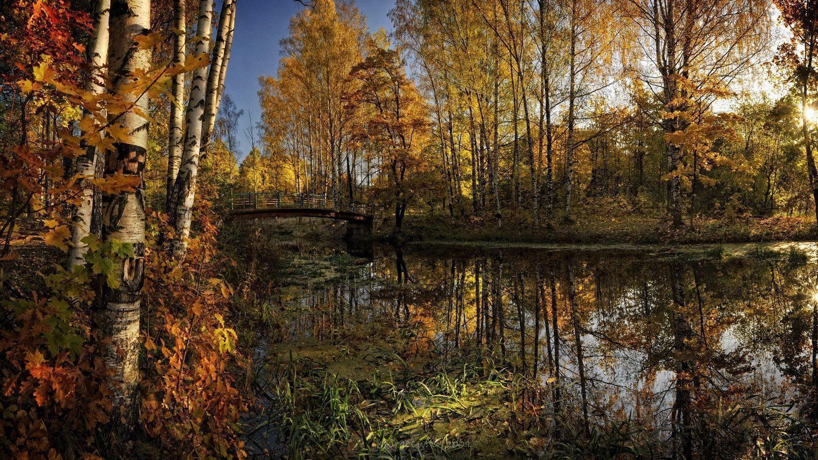 1600x900 Nature Wallpaper 1600x900