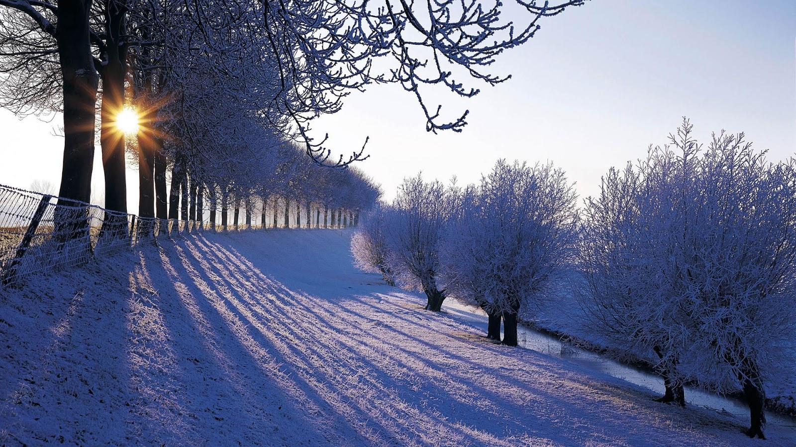 1600x900 Free download Beautiful Winter Wallpaper Beauty of Winter season Nature [ 1600x900] for your Desktop, Mobile & Tablet. Explore Beautiful Winter Wallpaper. Free Winter Snow Scenes Wallpaper, Free Winter Snow Desktop Wallpaper