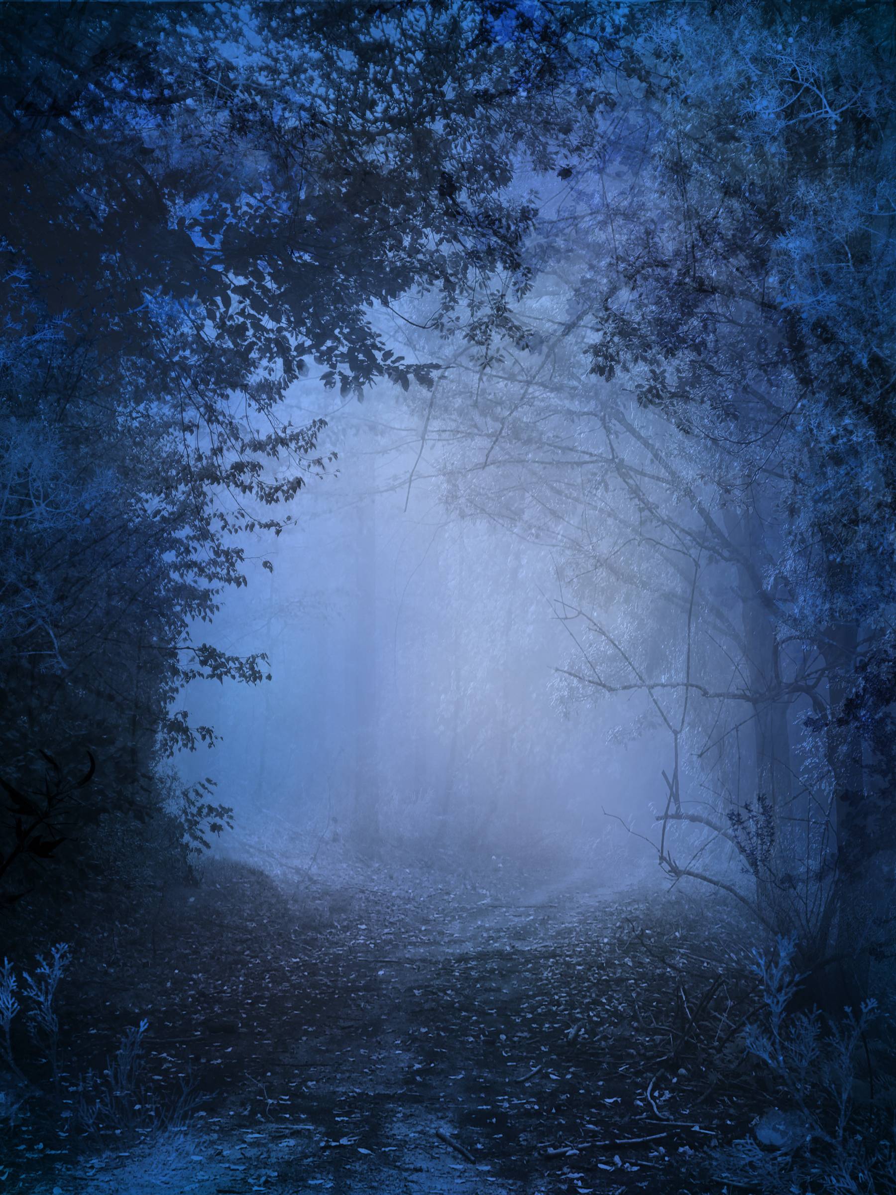 1800x2400 Misty Woods Wallpaper. HD Wallpaper Pal