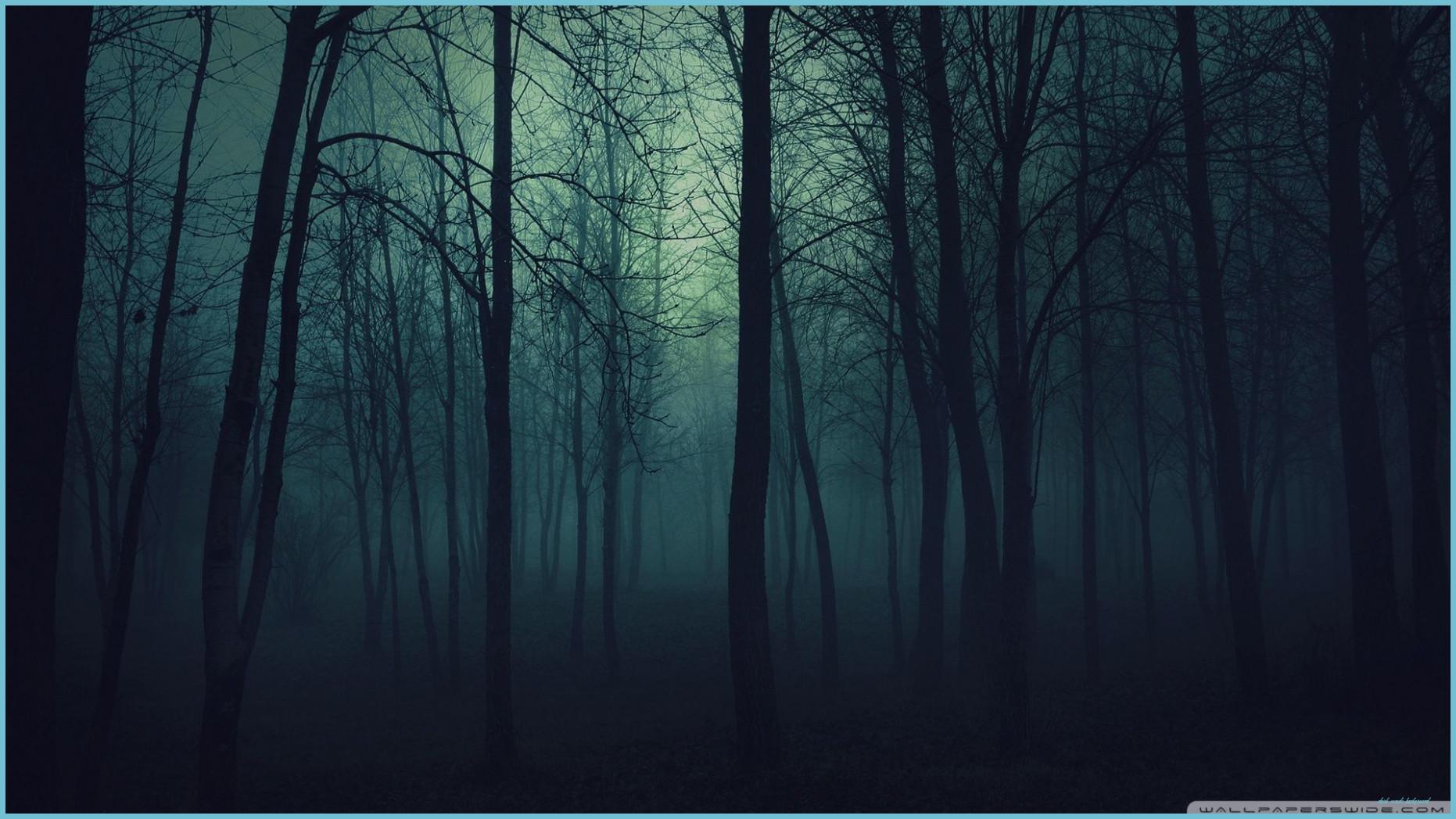 1862x1047 Dark Forest Night Forest, Misty Forest, Forest Wallpaper Woods Background
