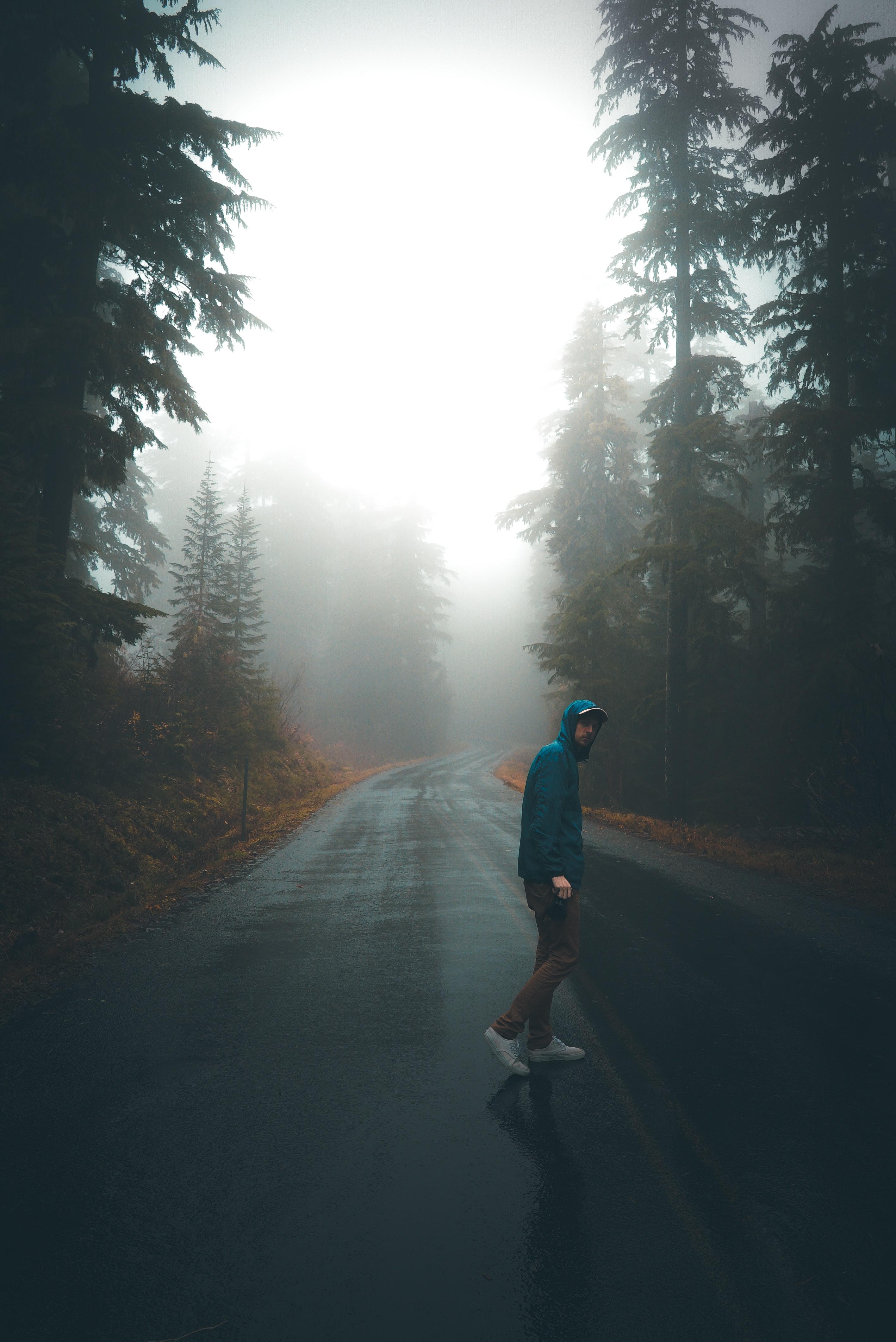 2832x4240 Man crossing lonely road in misty woods · Free