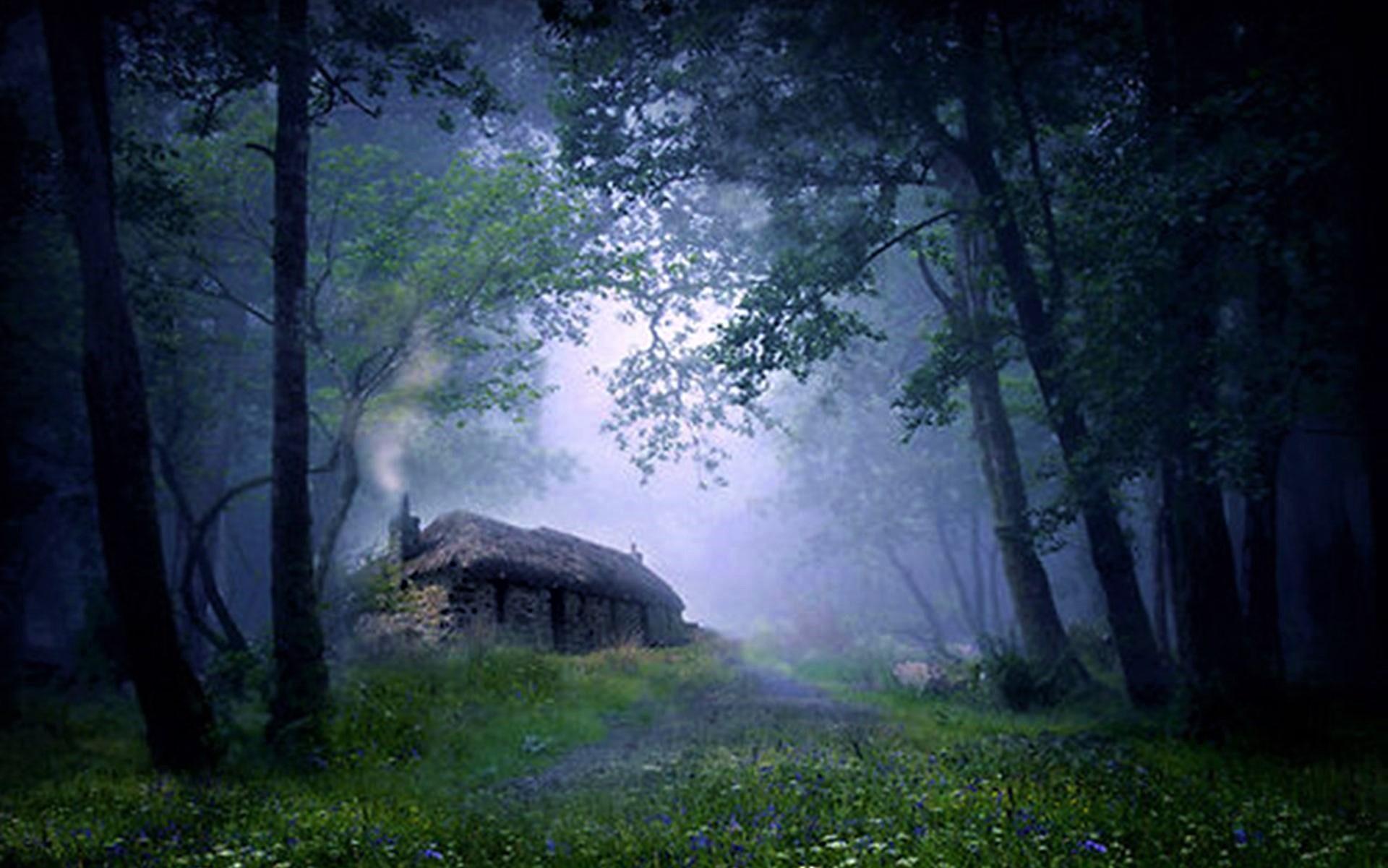 1920x1201 Old Stone Cottage in the Misty Woods Image