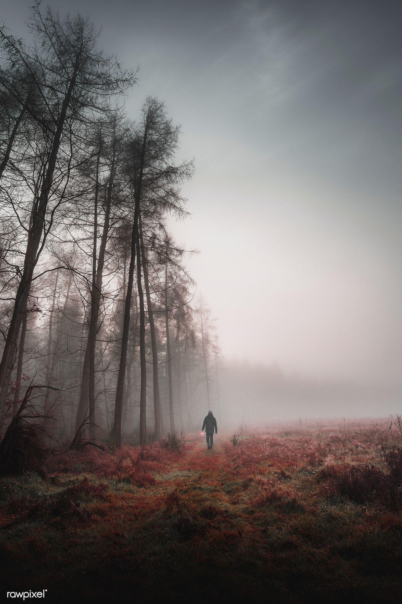 1400x2100 Man walking in a misty woods with a lamp. premium image / Luke Stackpoole. Forest photography, Woods photography, Misty
