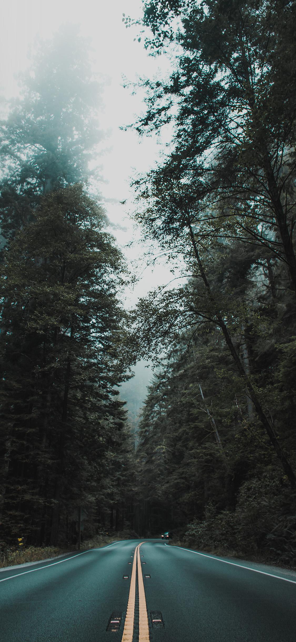 1125x2436 Street Mountain Road Tree Nature Wallpaper