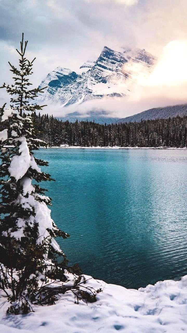 719x1279 Winter Mountain Trees Wallpaper