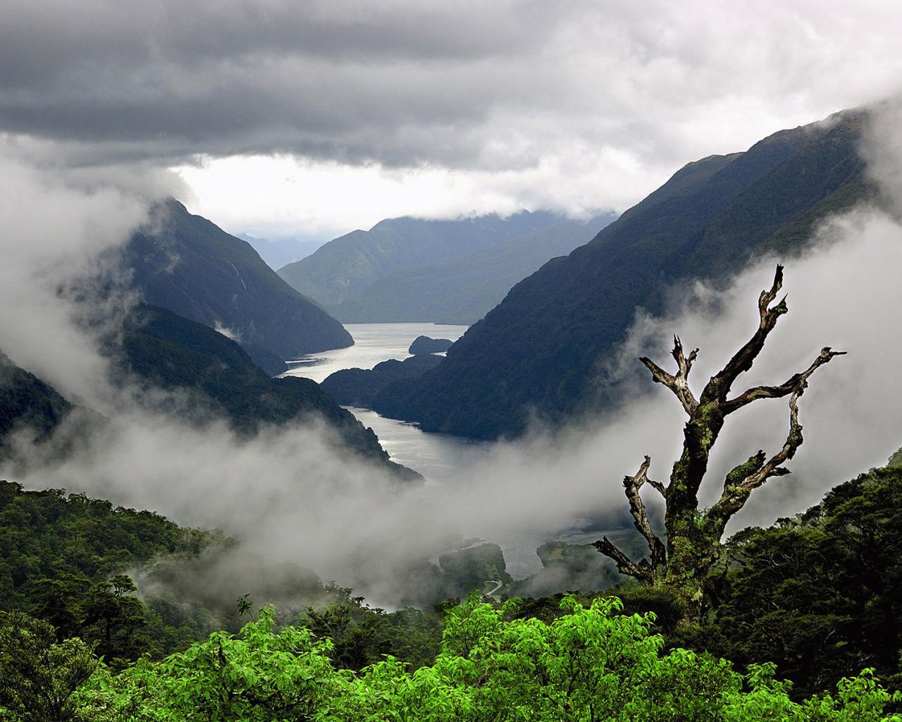 1280x1024 Free download fog mountain trees picture widescreen wallpaper Fullsize Wallpaper [1920x1200] for your Desktop, Mobile & Tablet. Explore Widescreen Wallpaper. Free Wallpaper For Desktop, HD Widescreen Wallpaper 1920x Beautiful